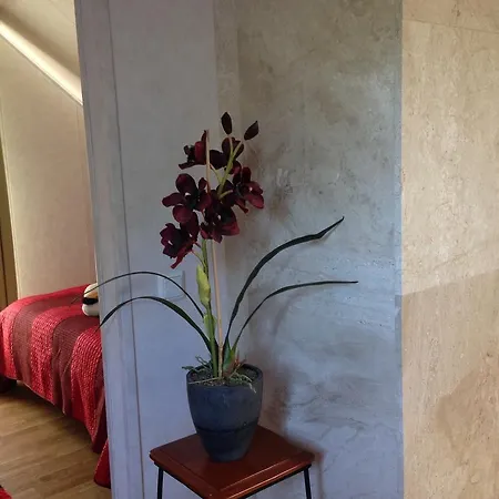 Embrace Apartment